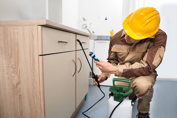 Termites Solution